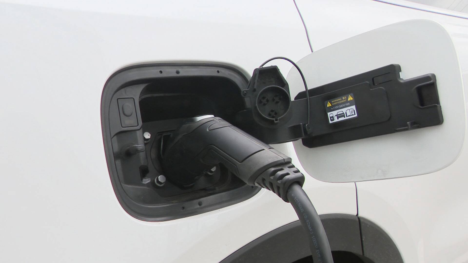 Engouement pour les voitures &eacute;lectriques