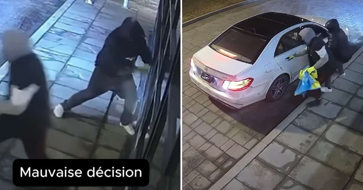 Image principale de l'article Une bijouterie publie des spectaculaires images