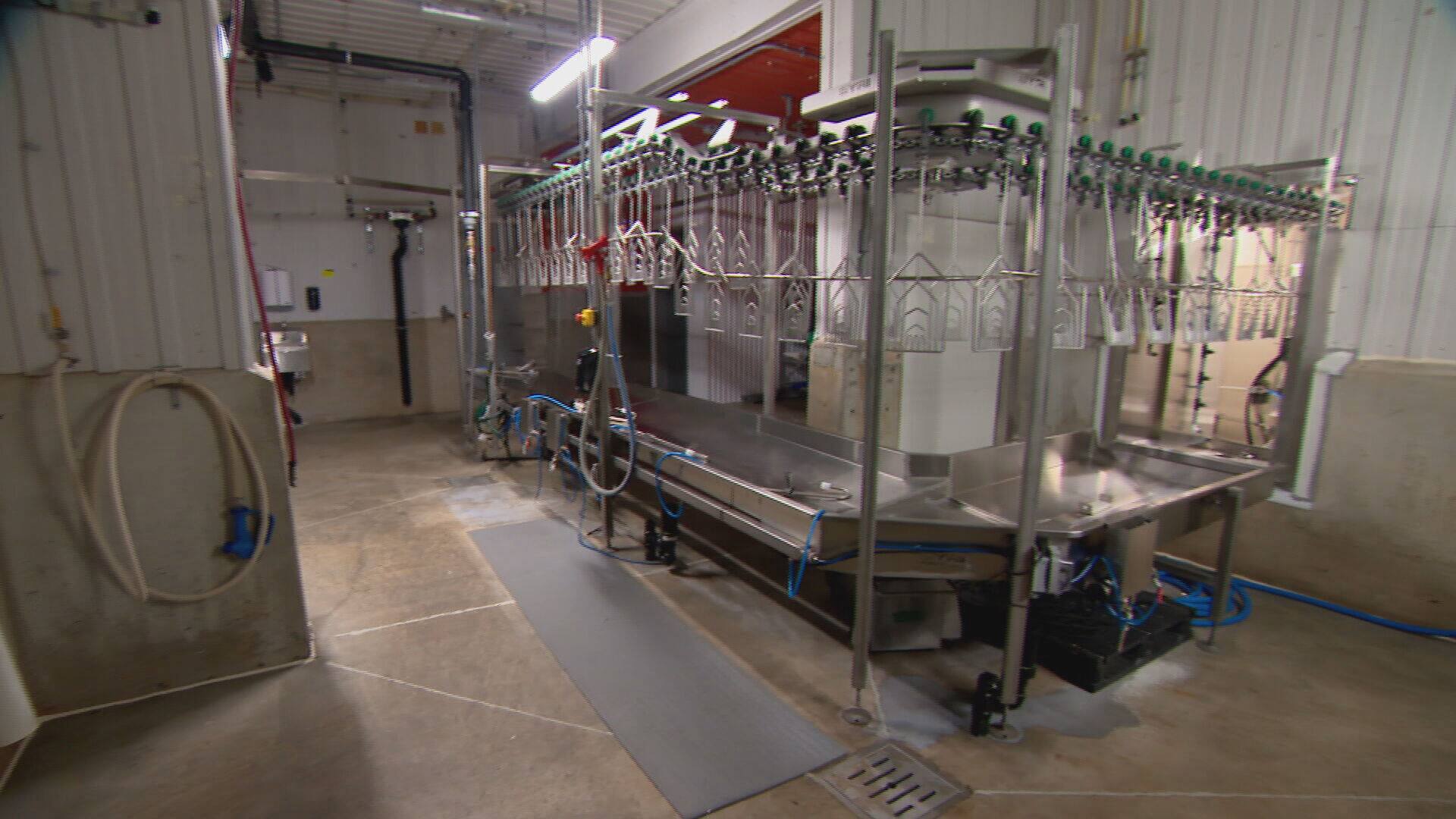 Élevage de volaille l'abattoir de SaintLucdeVincennes finalement