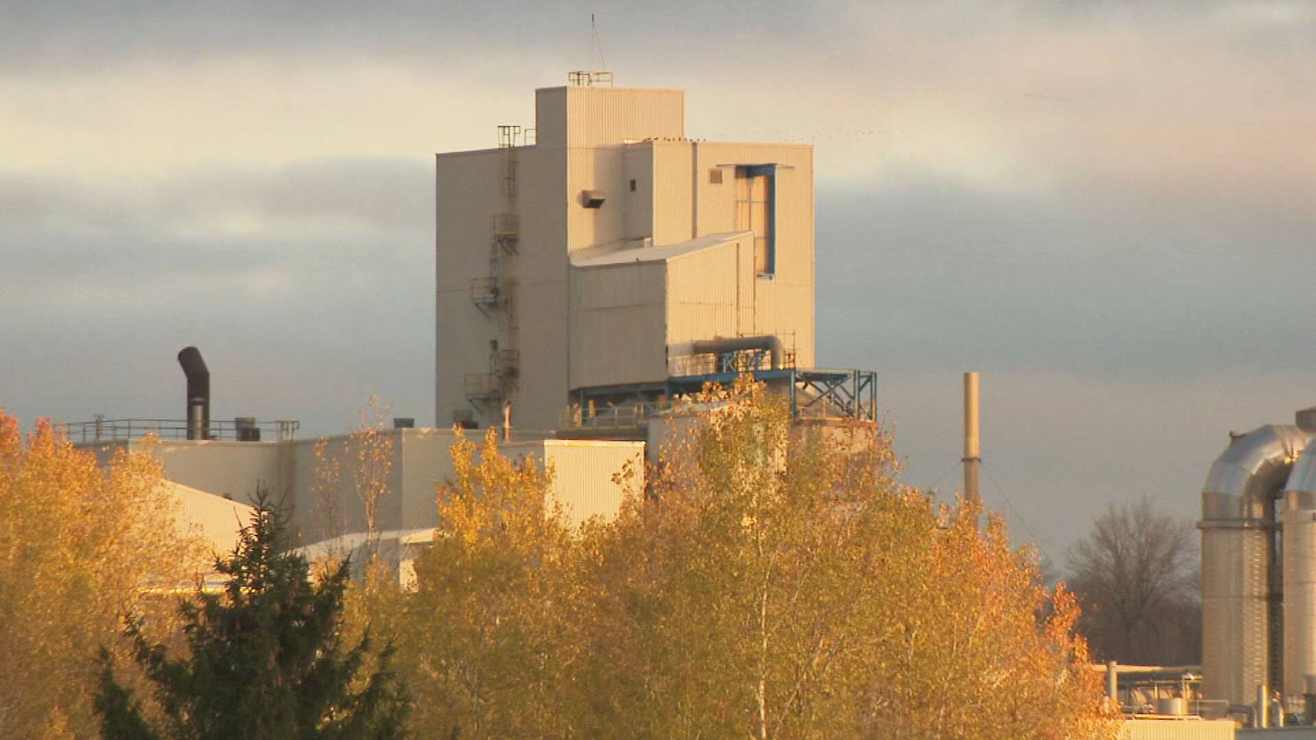 Accident mortel &agrave; l'usine Domtar: que s'est-il pass&eacute; &agrave; Windsor?