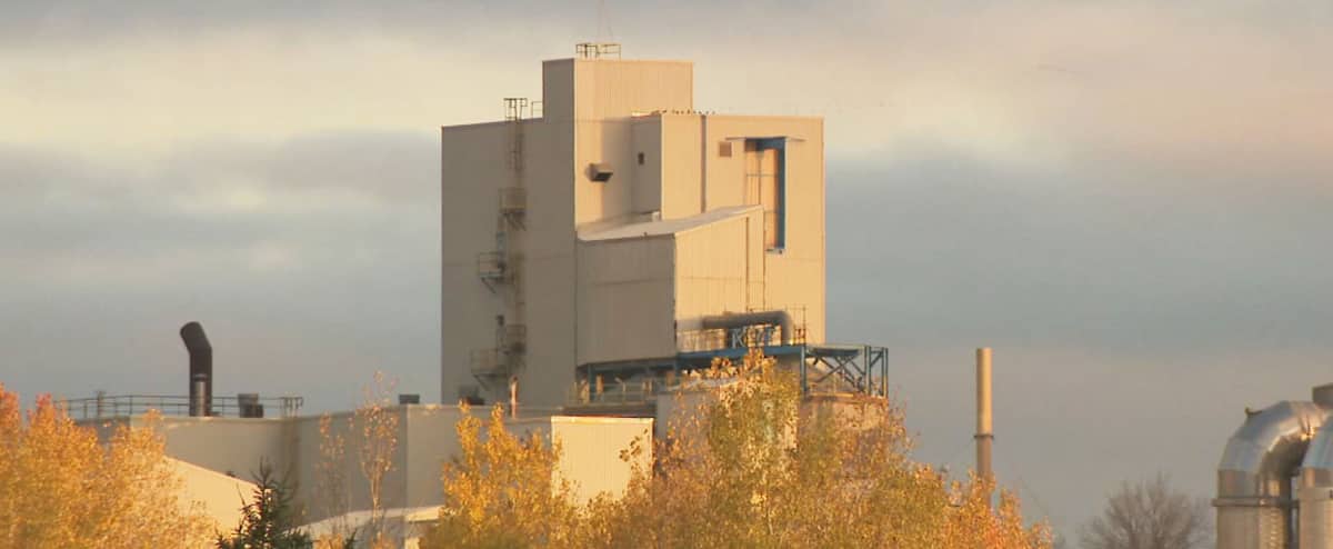 Accident mortel à l'usine Domtar: que s'est-il passé à Windsor?