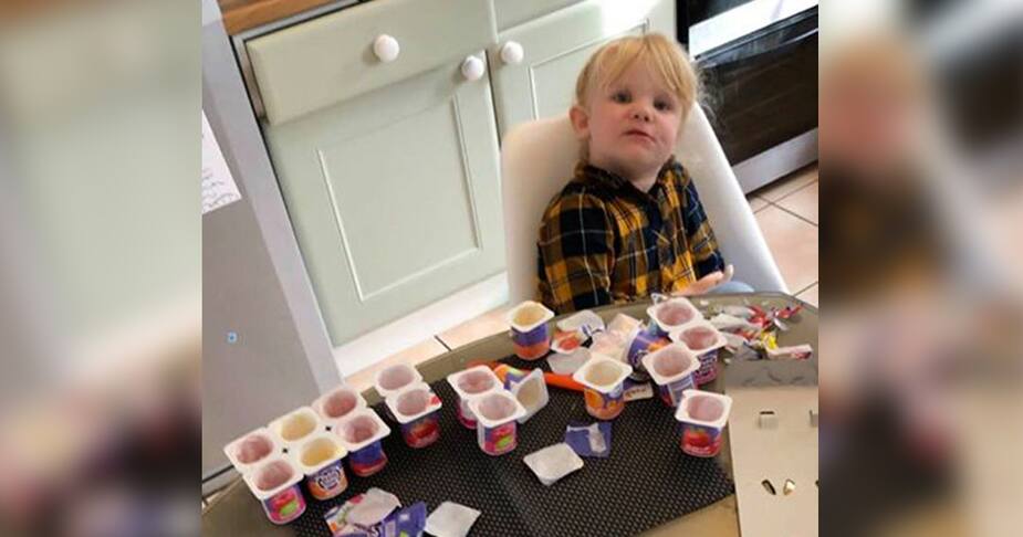 Image principale de l'article À 3 ans, elle mange 18 yogourts en 10 minutes