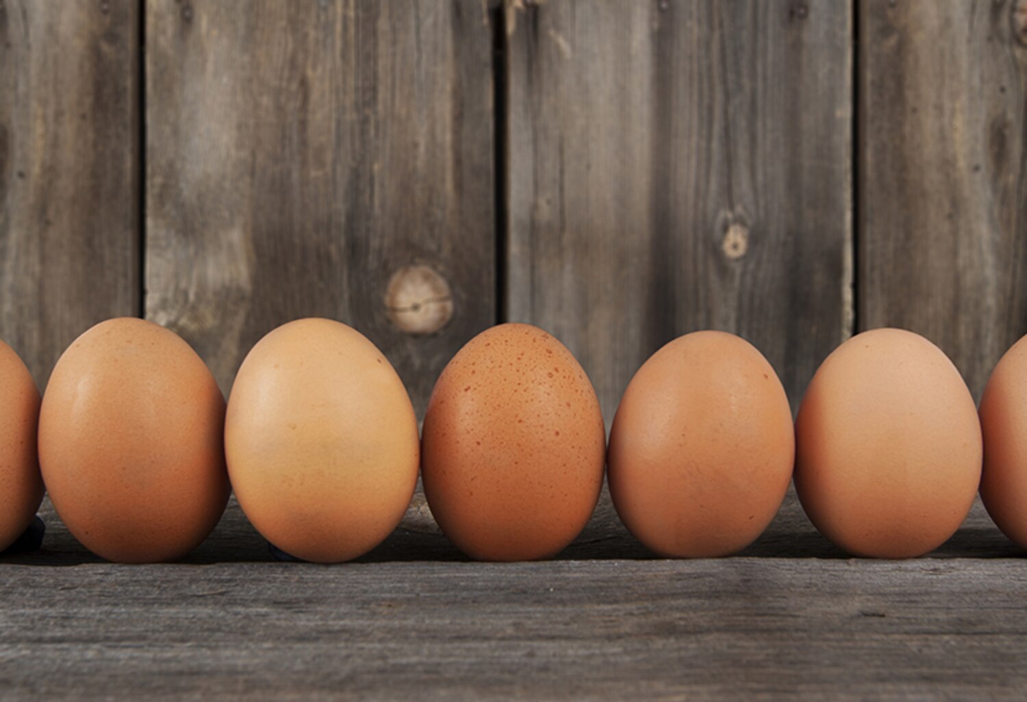 Oeuf cru, entier 1 oeuf Recettes du Québec