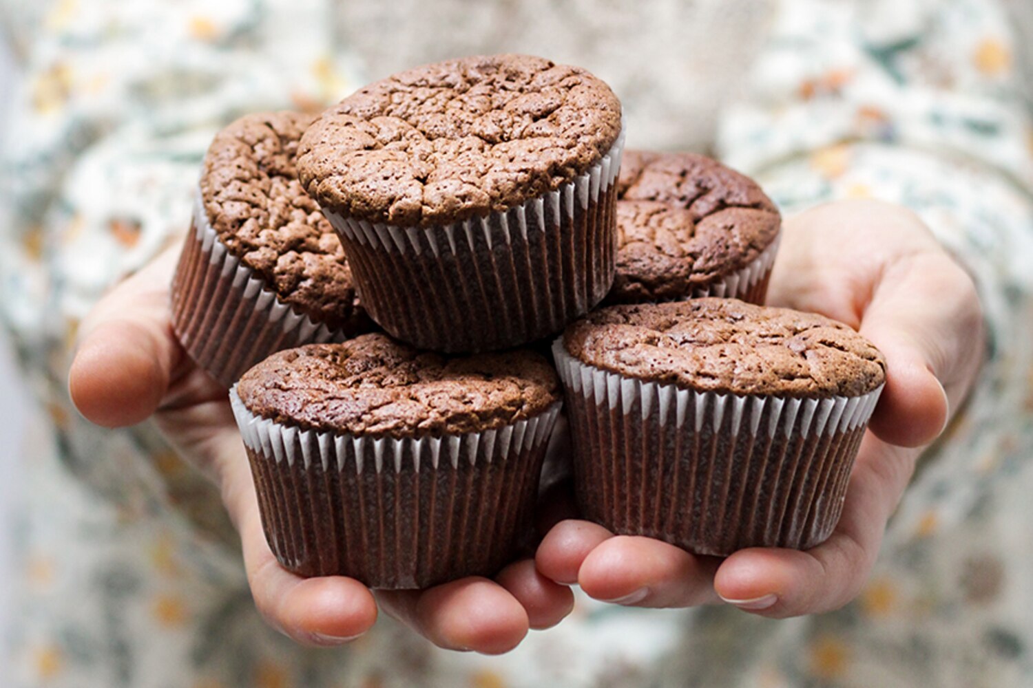 Les desserts à congeler Recettes du Québec