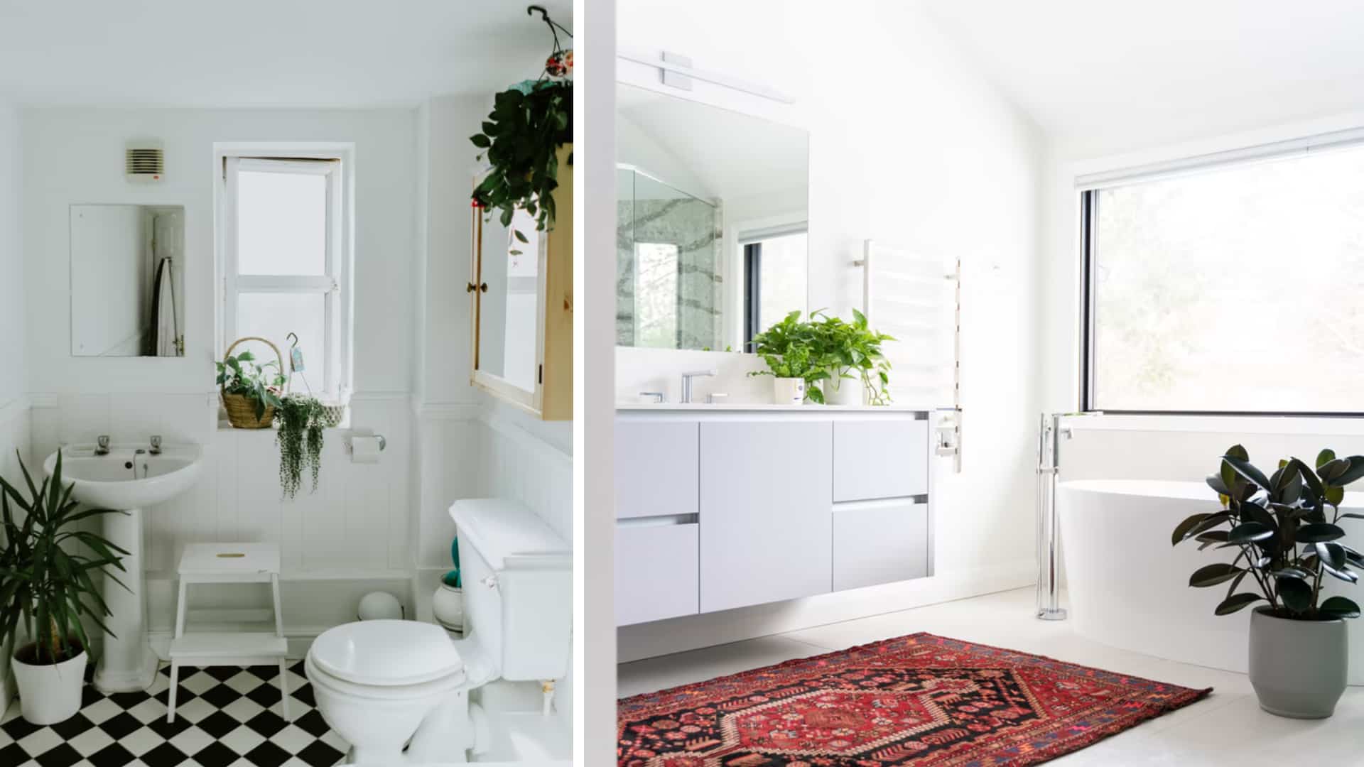 5 perfect plants to decorate a bathroom | Style at Home