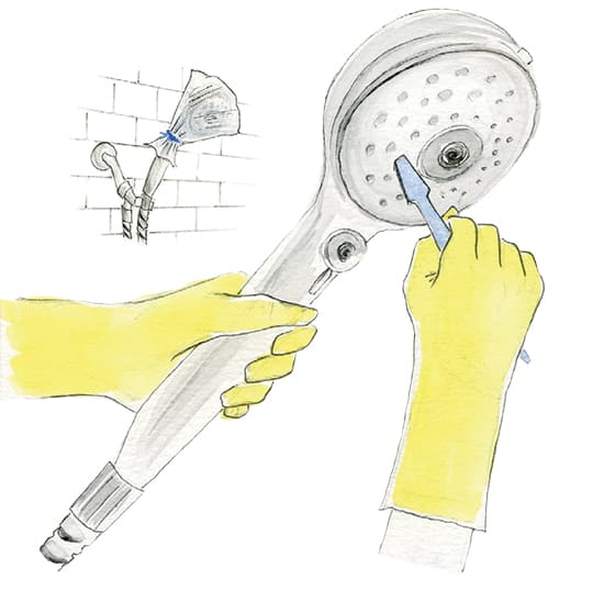 how-to-clean-your-showerhead.jpg