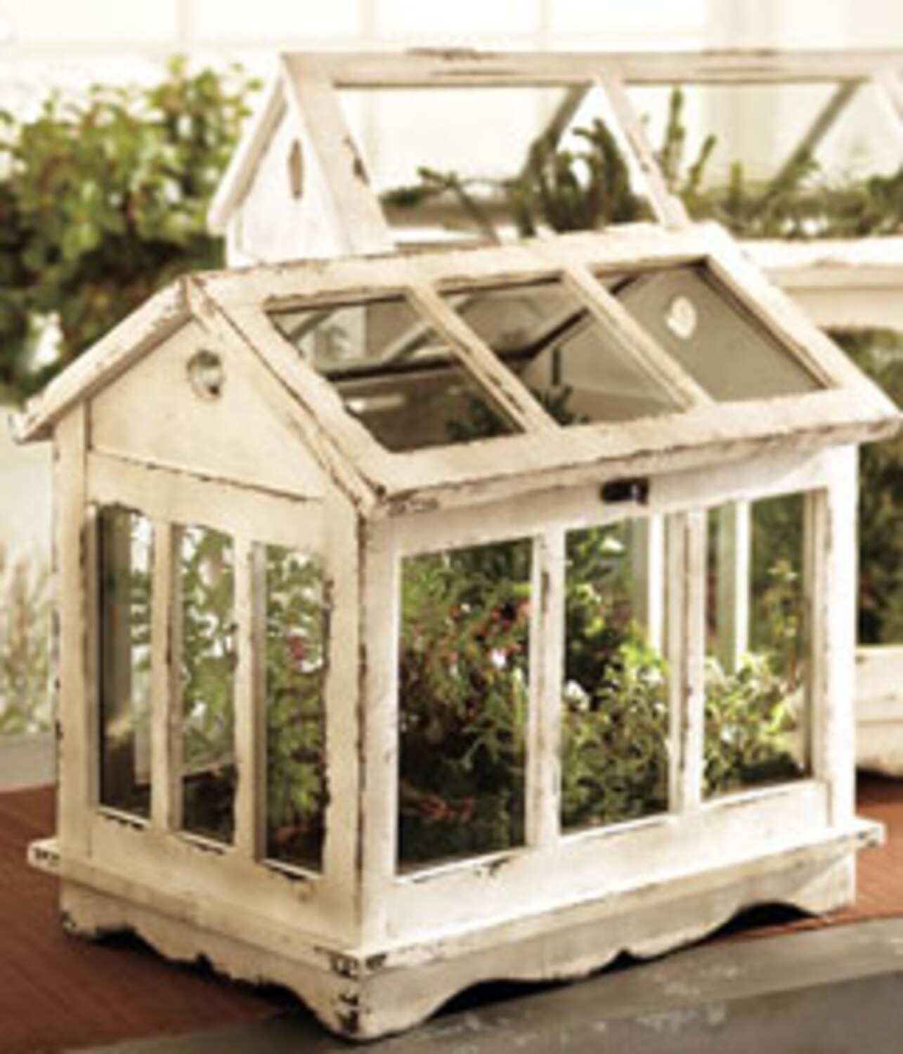 6 indoor gardening accessories Style at Home