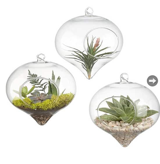 terrarium-glass-vase.jpg