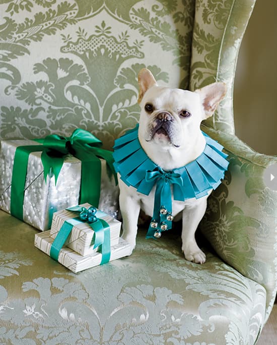 inside-design-martha-stewart-dog.jpg