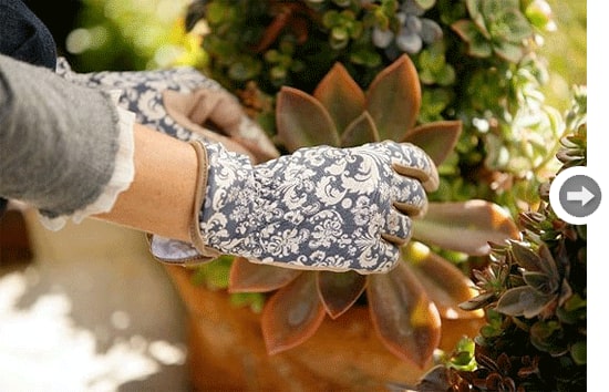 gardening-gloves.gif