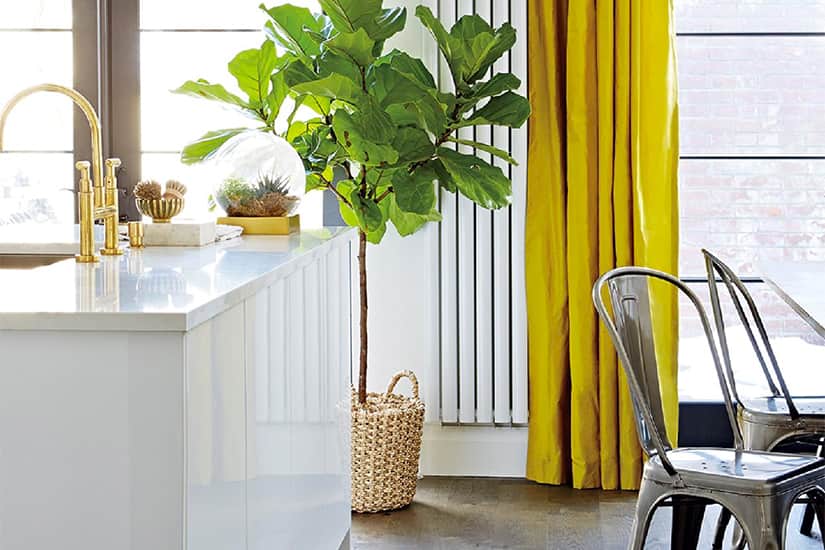 4 musthave decor accessories to spruce up your space Style at Home