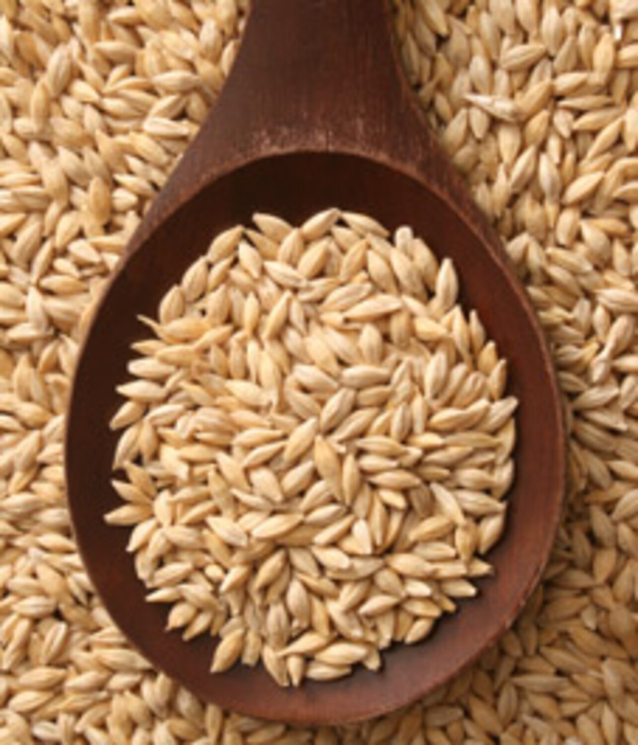 Basics of barley The original grain Style at Home