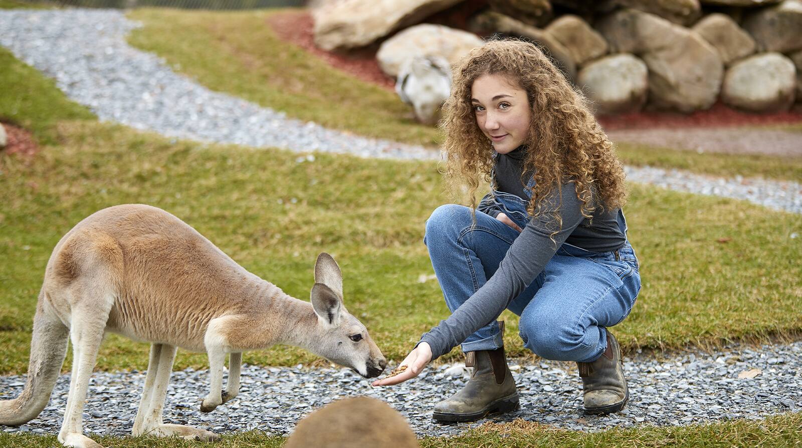 Mission Zoo