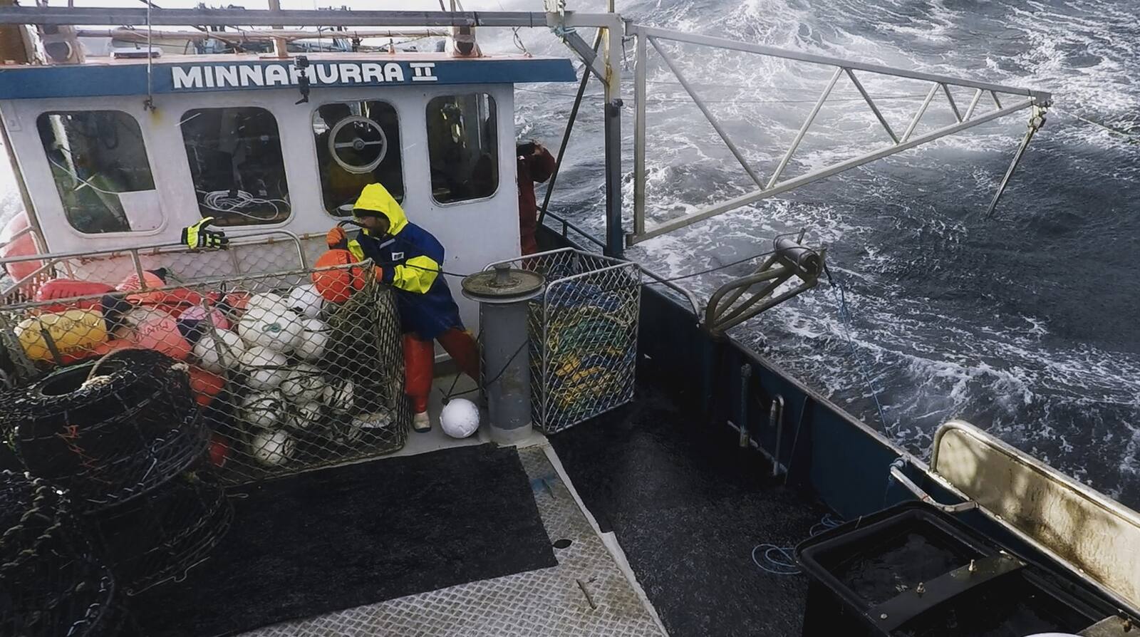 Chasseurs de langoustes géantes