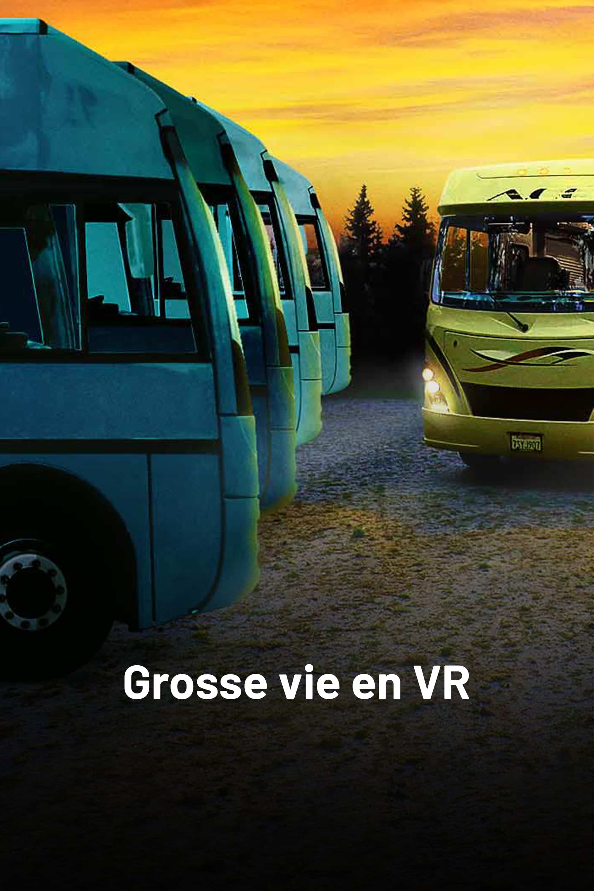 Grosse vie en VR