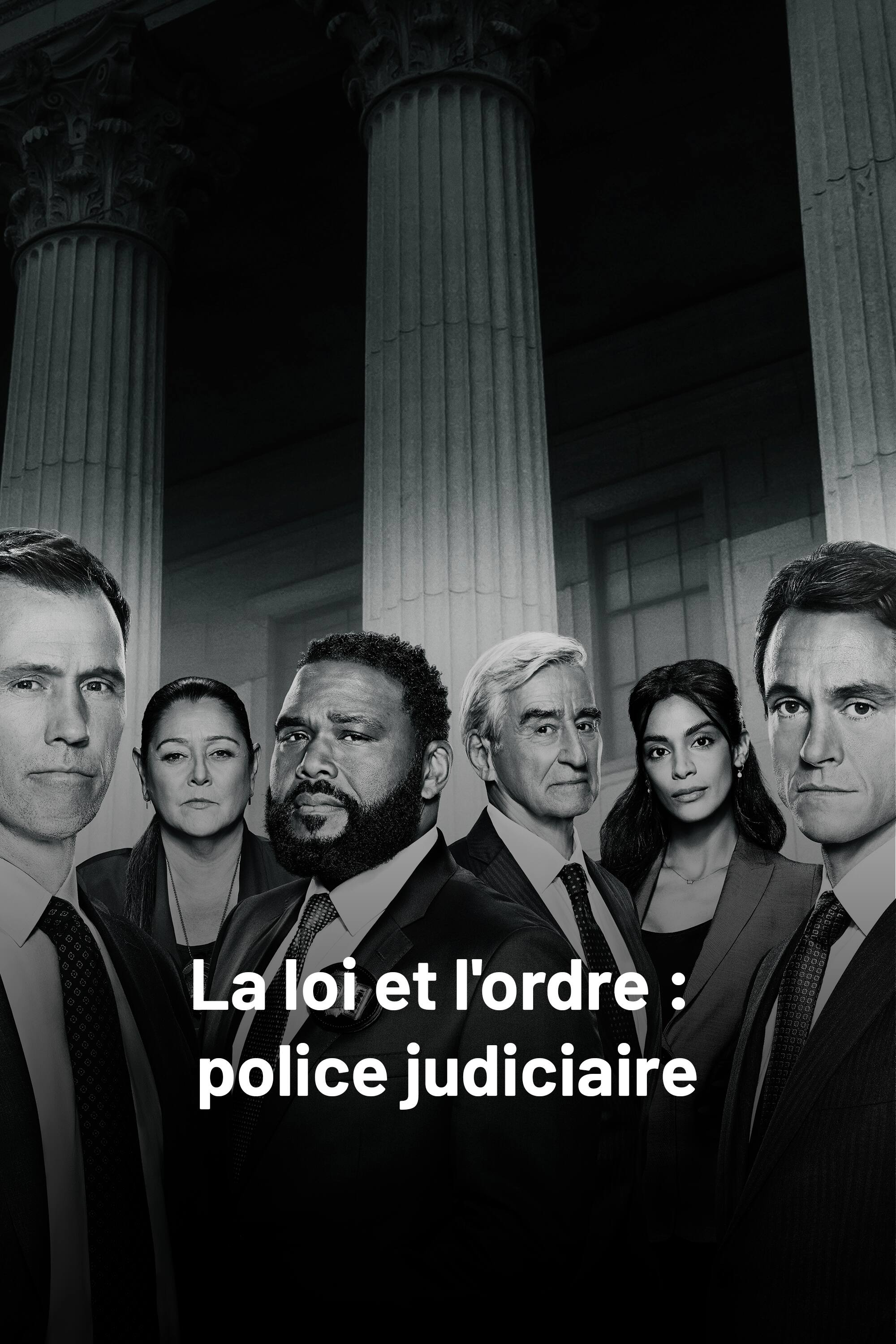 La loi et l'ordre : Police judiciaire