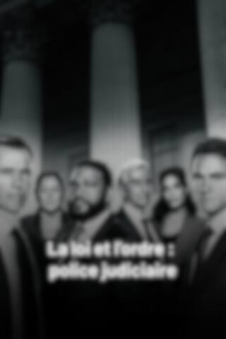 La loi et l'ordre : Police judiciaire