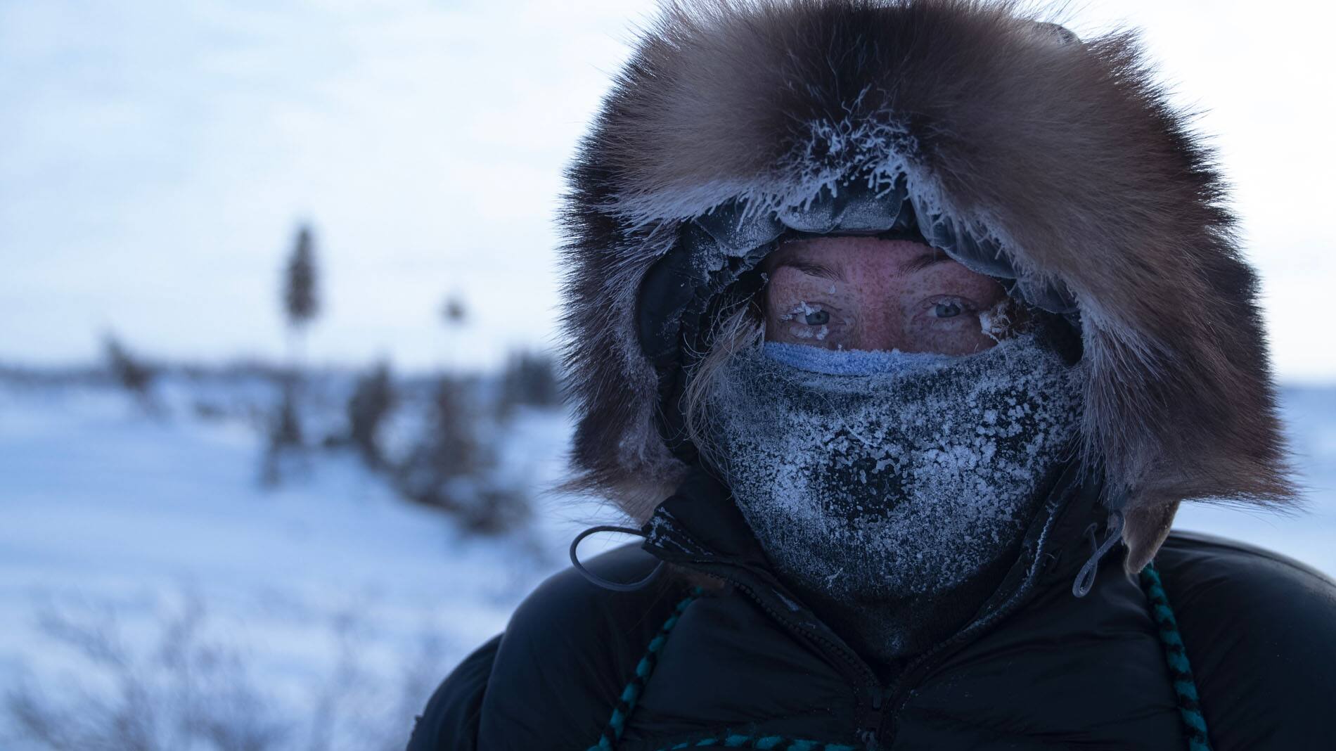 Vivre sous zéro : Canada