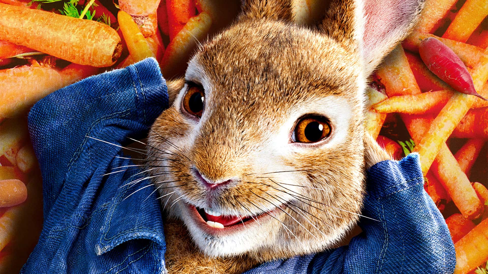 Pierre Lapin 1 Streaming
